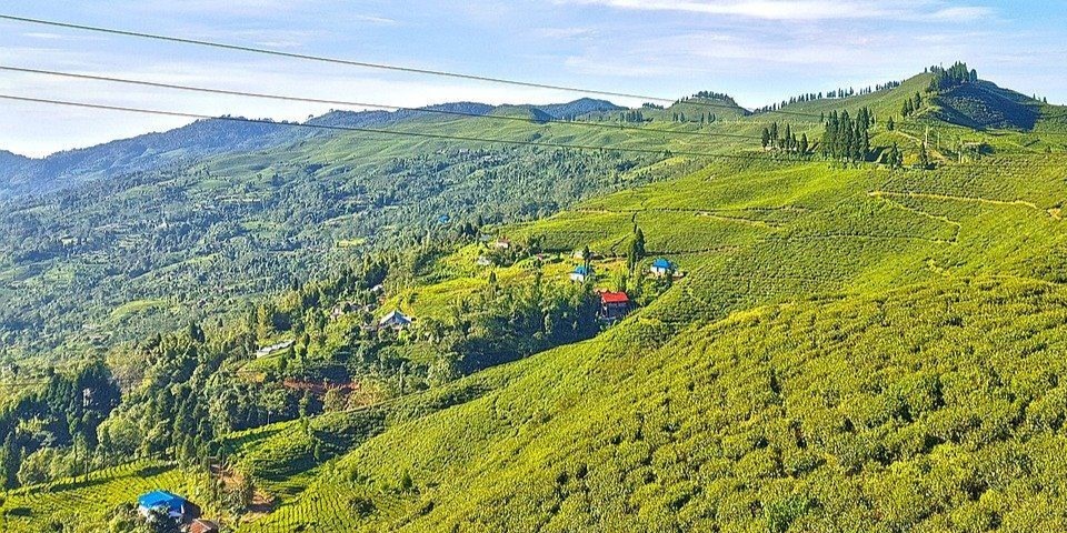 Illam