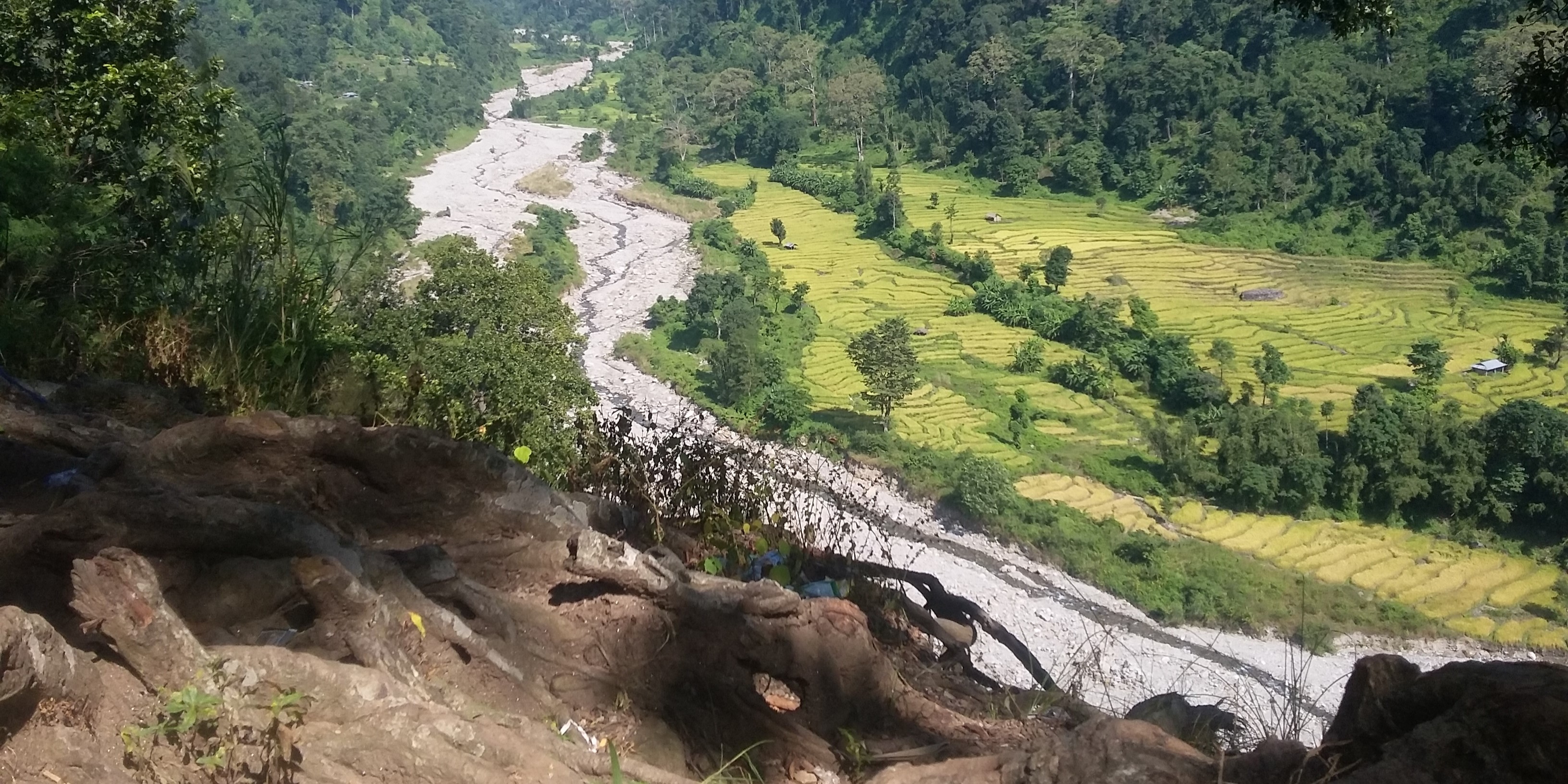 Jhapa